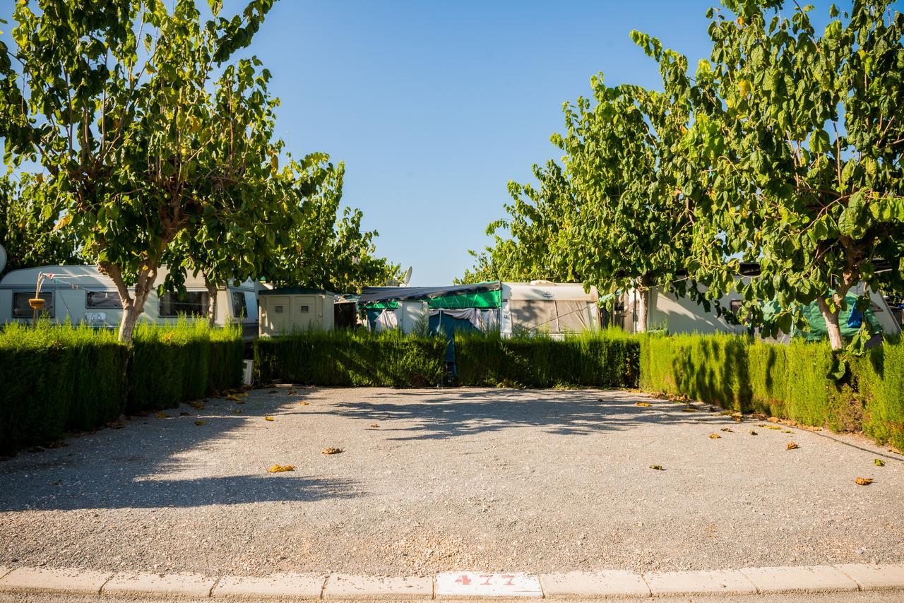 מלון בנידורם Camping Raco חדר תמונה